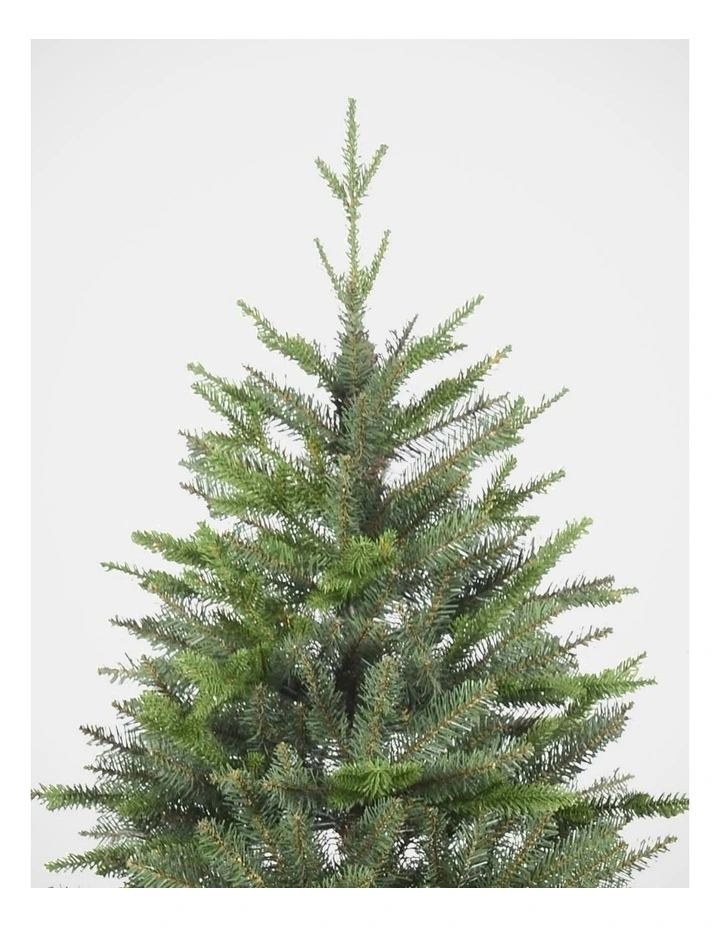 Fraser Fir 210cm Christmas Tree 2389 Tips in Green image 2