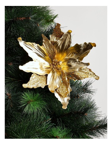 Gold colour