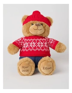 Christmas Ethan 2026 Christmas Charity Bear in Red: 40cm