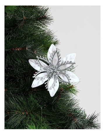 White colour