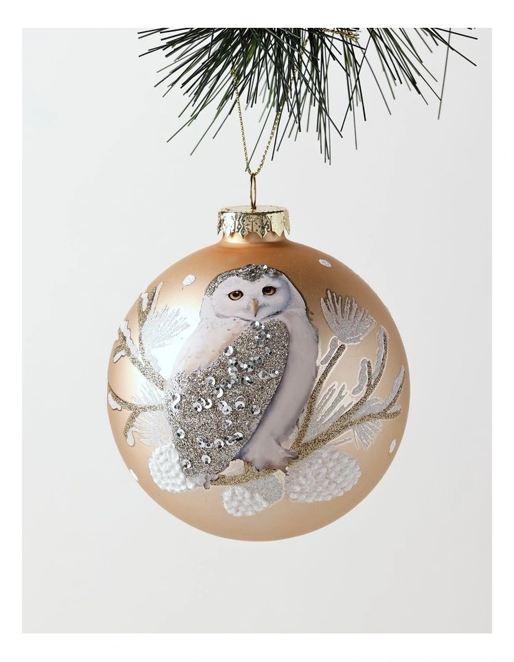 Harvest Christmas Glass Owl Detail Bauble 10cm in Beige image 1