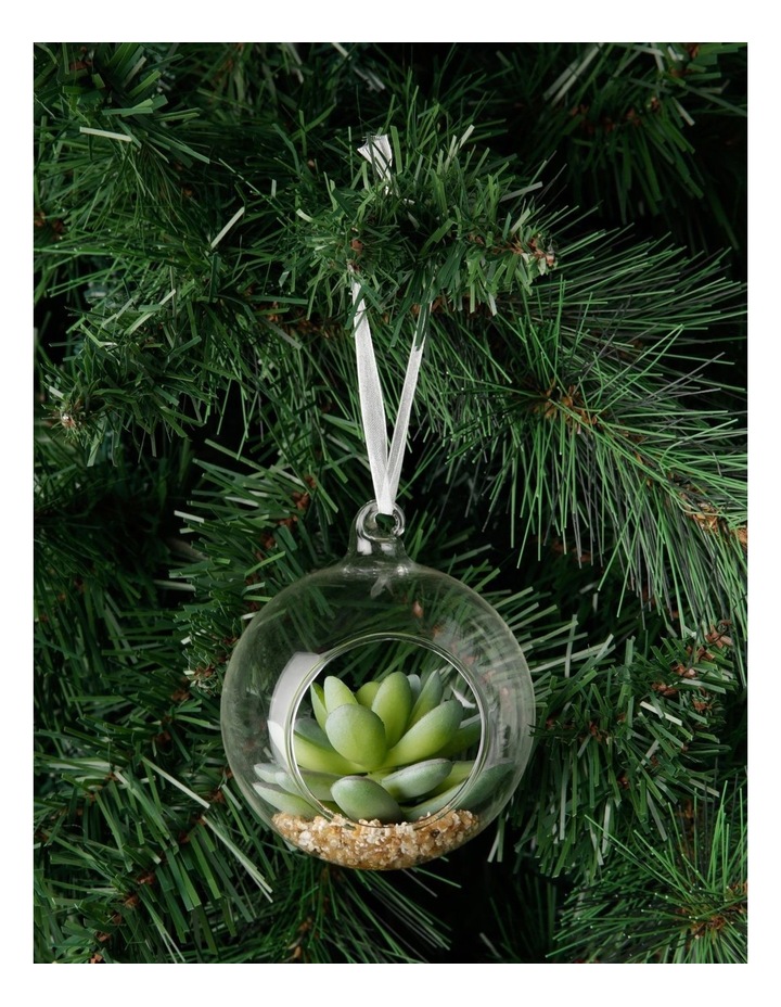 Home Kitchen Rockin Gear Christmas Ornament Ball Bahamas Decorative Souvenir Gift And Christmas Tree Decoration Bahamas Ball Ornaments