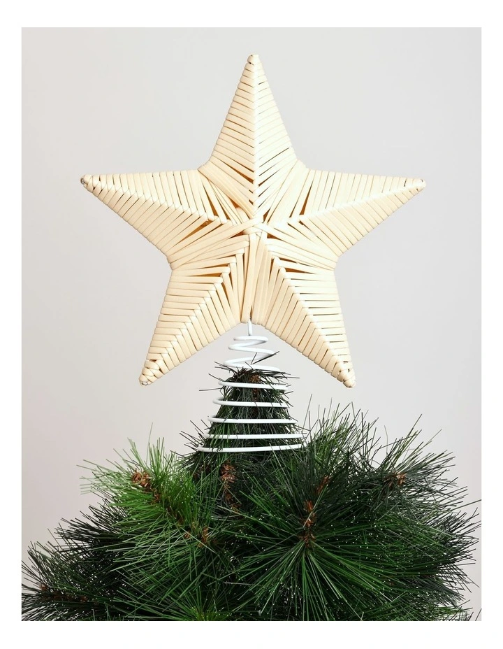 Eucalyptus Christmas Star Tree Topper 30cm in Natural image 1