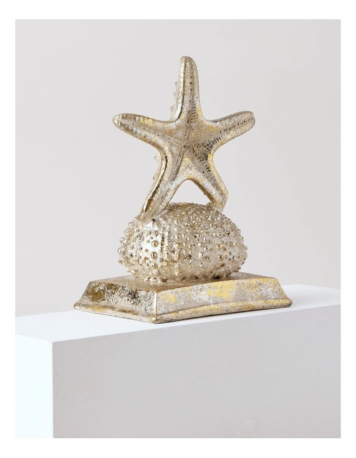 Eucalyptus Christmas Polyresin Starfish Stocking Holder 21cm in Gold image 5