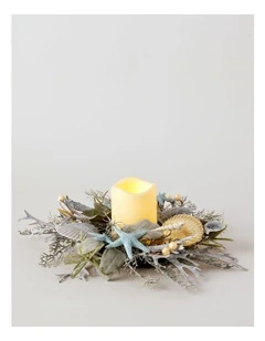 Eucalyptus Christmas Coastal Seashell & Starfish Hurricane 30cm in Green/Blue