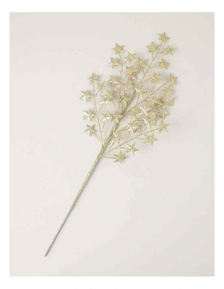 Heirloom Glitter Star Pick in Gold: 55cm image 4