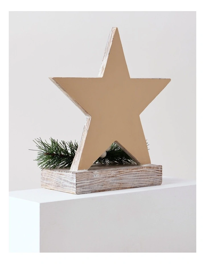Eucalyptus Christmas White Washed Resin Star Stocking Holder 22cm in White image 4