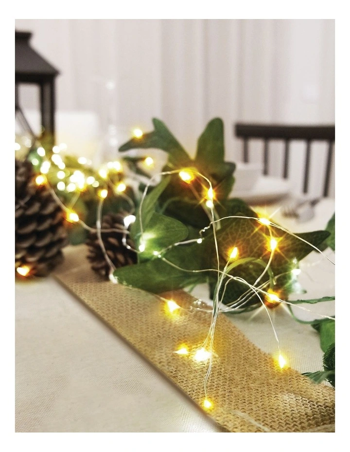 Myer Giftorium 100L Copper Wire B/O Fairy Lights: 1m image 4