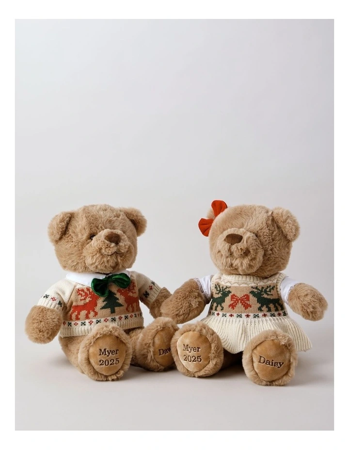 Dawson 2025 Christmas Charity Bear 40cm in Red image 5