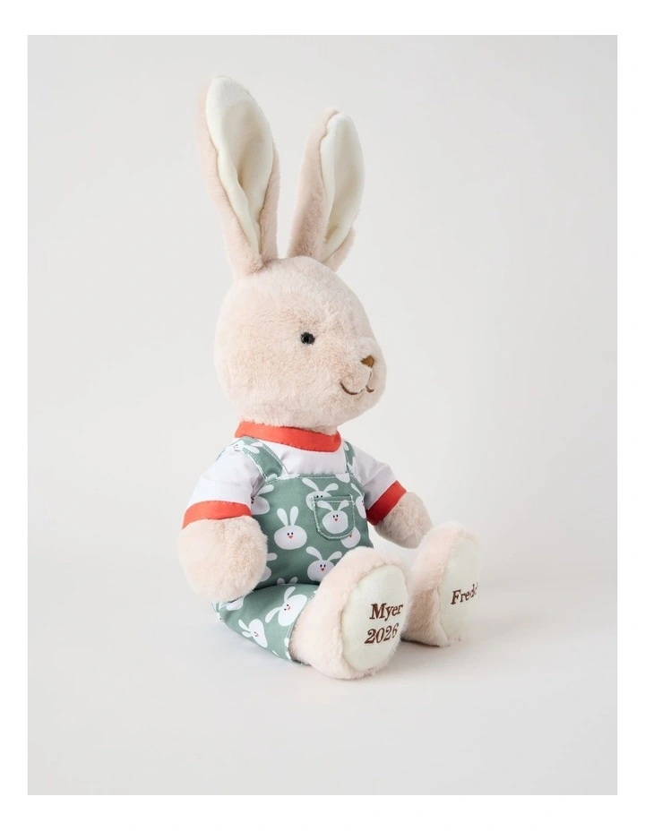Myer Giftorium 2026 Easter Charity Bunny Plush image 3