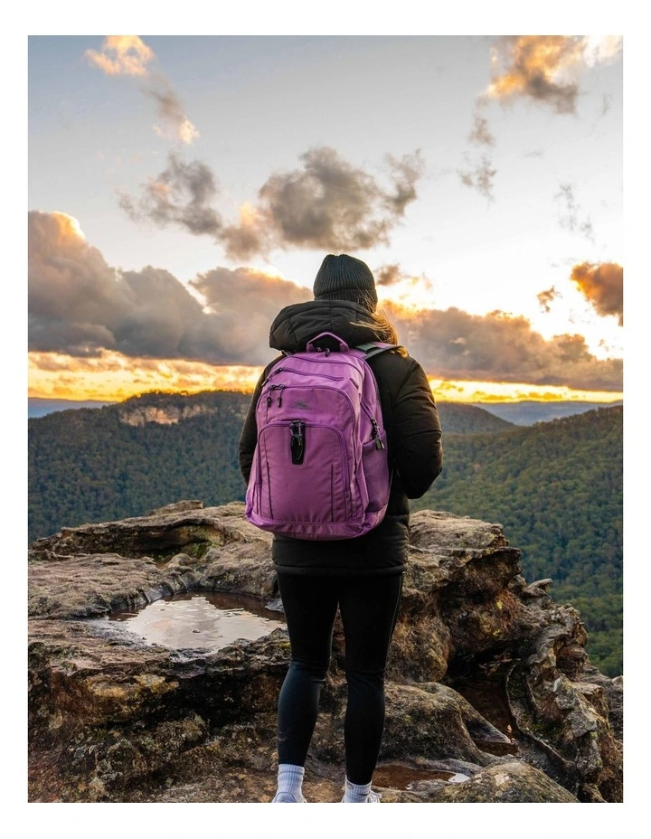 Extension Backpack in Wildberry image 7