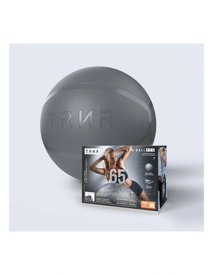 Gym Ball 65cm in Silver image 1