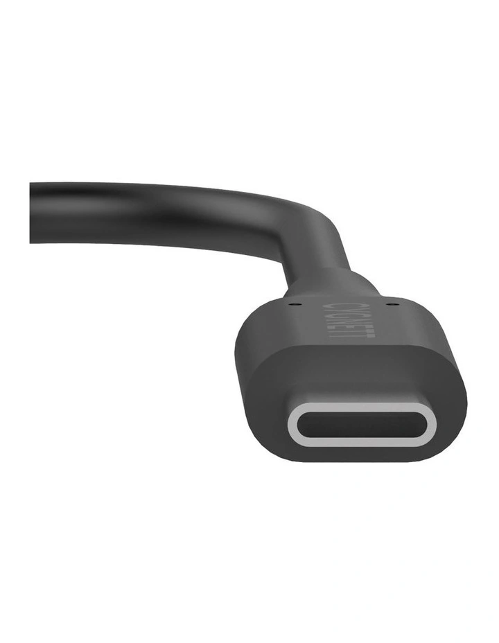 Essential USB-C to USB-A Cable Adapter 10cm CY3313PCUSA image 3