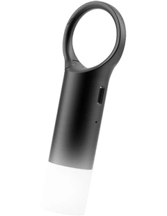 Nomaday Flash, Black, LL137N