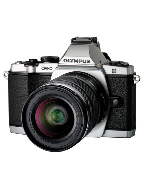 Sheer Marquisette with Lace Lightly Lined Demi Bra in Pink image 1