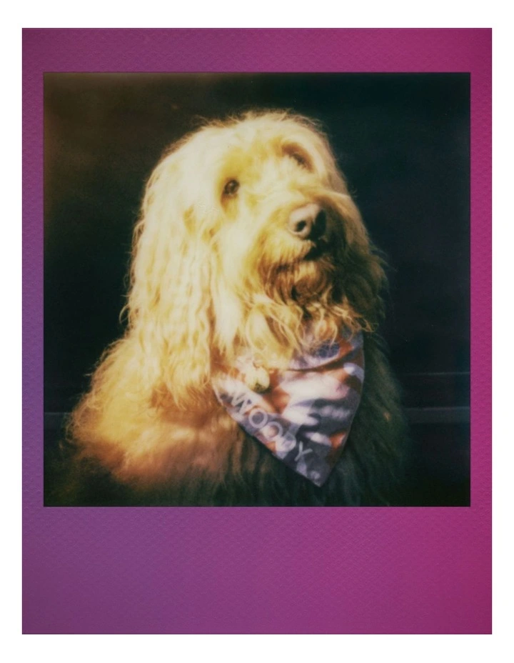 Go Instant Film 16 Pack in Gradient Frame 172538 image 5
