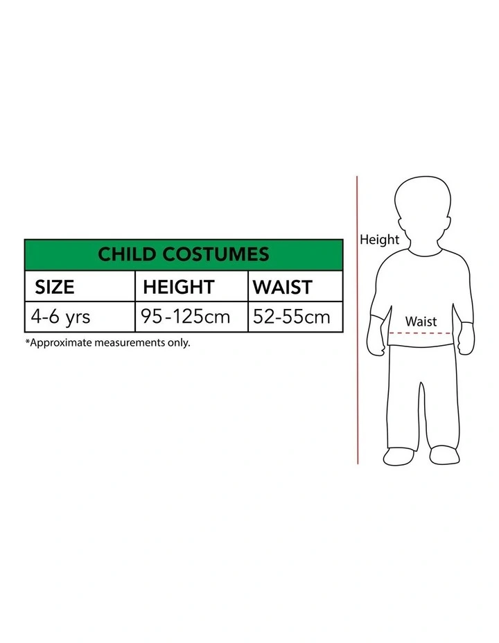DISNEY FROZEN ELSA PREMIUM CHILD COSTUME & WIG SIZE 4-6 YRS image 4