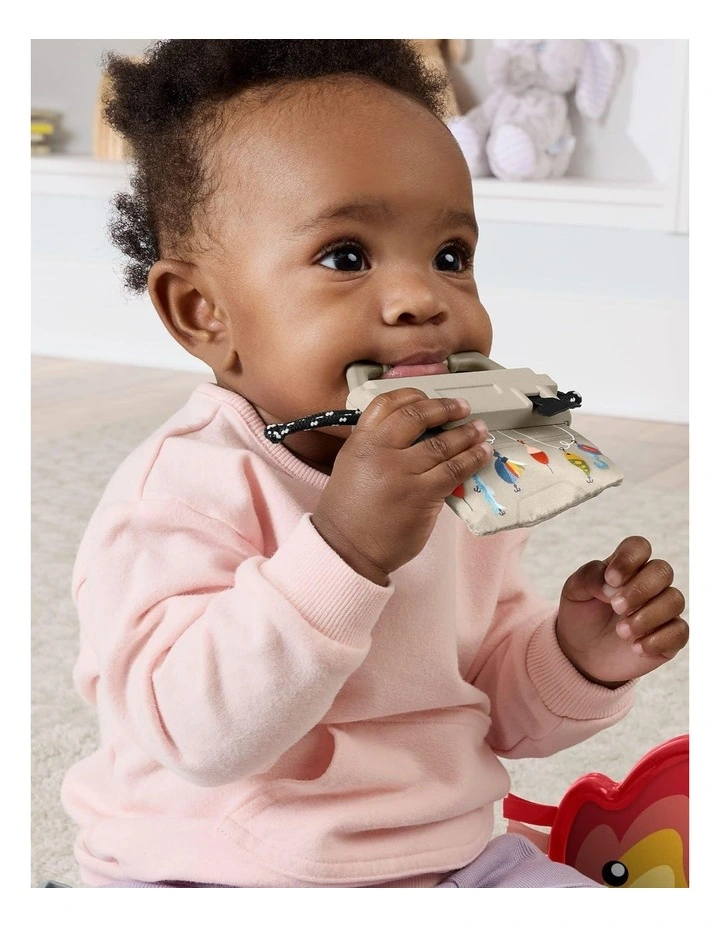 Fisher-Price Mini Me Moments Camp And Crinkle Gift Set image 5