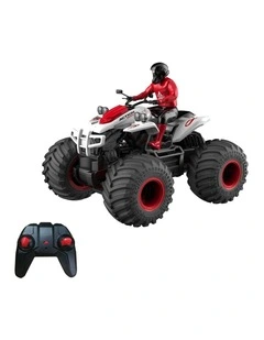 Dirt Maxx Quad Bike