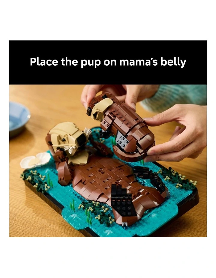 Ideas Floating Sea Otters 21366 image 5