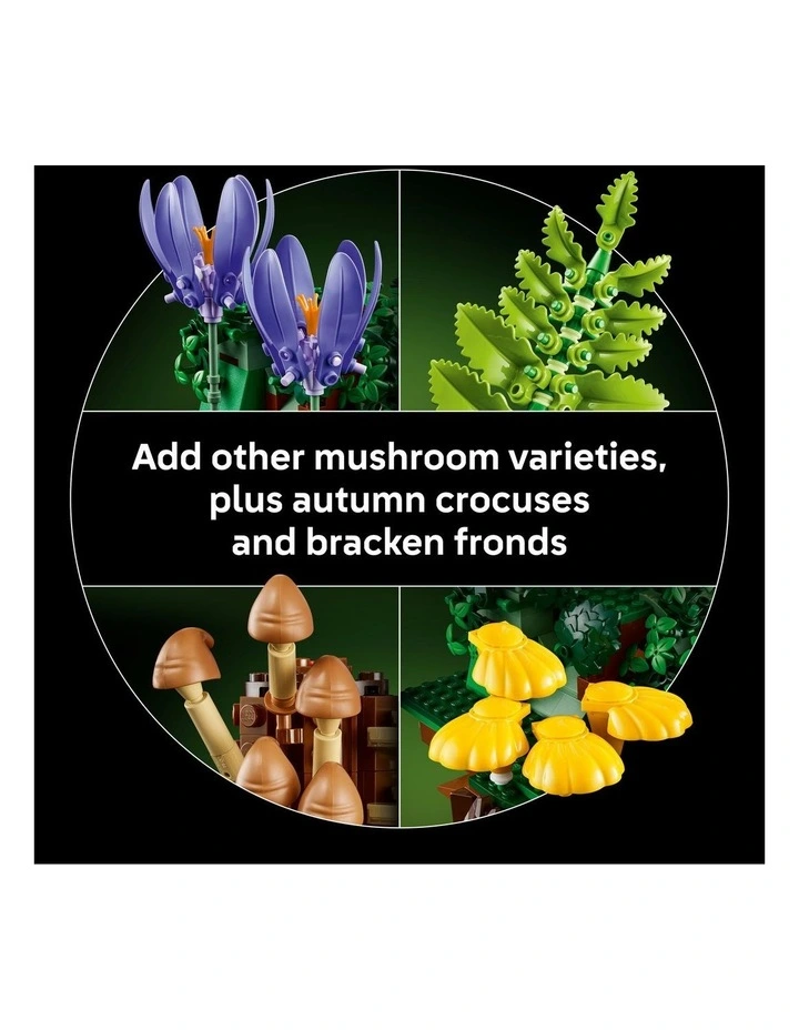 Botanicals Woodland Mushrooms Toys 11505 image 5