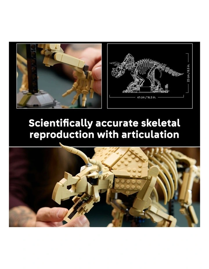 Jurassic World Dinosaur Fossils: Triceratops 77985 image 4