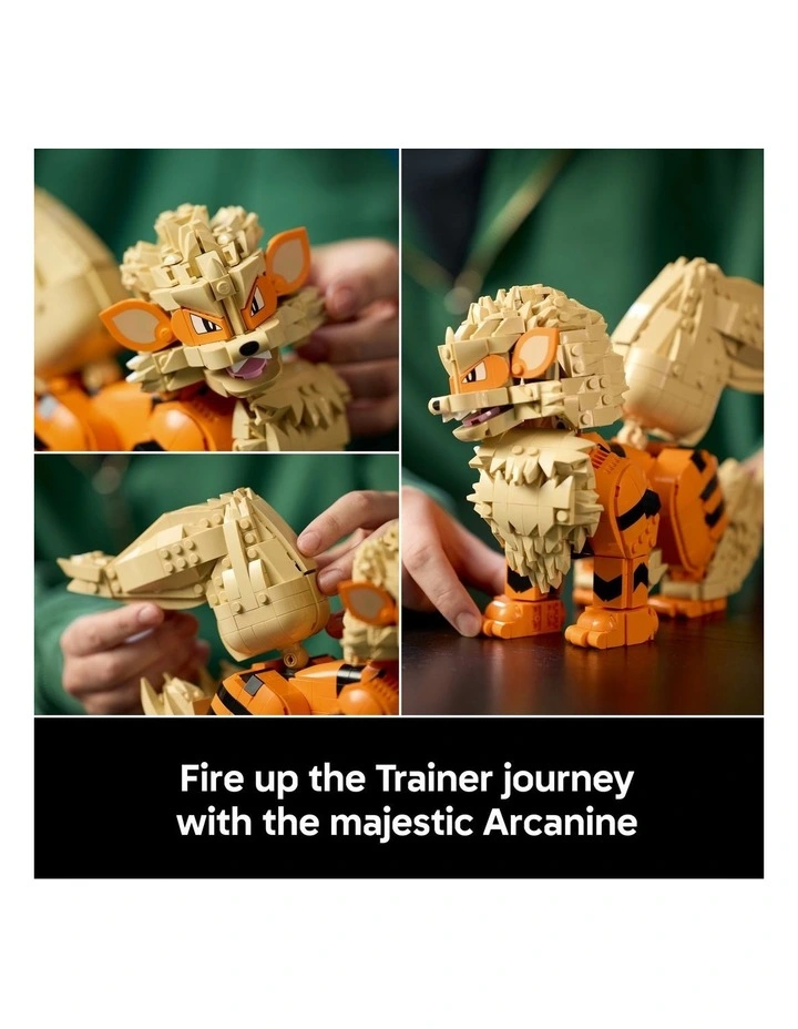 Pokmon Arcanine 72160 image 4