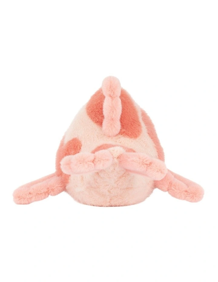 Fancy Carp image 3