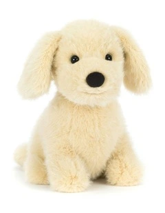 Golden Puppy