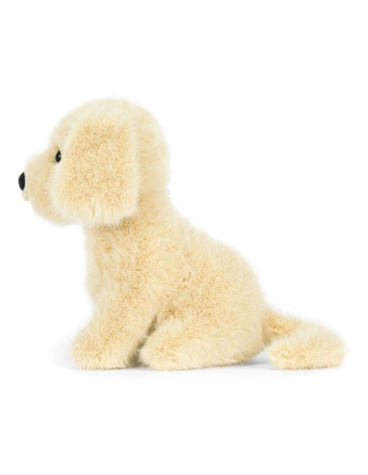 Golden Puppy image 3