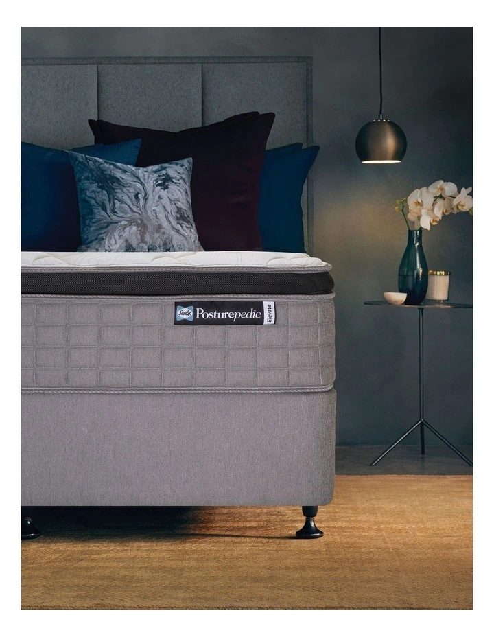 Designer Base Eucalyptus image 3