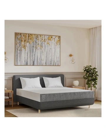 Ease 25 Mattress