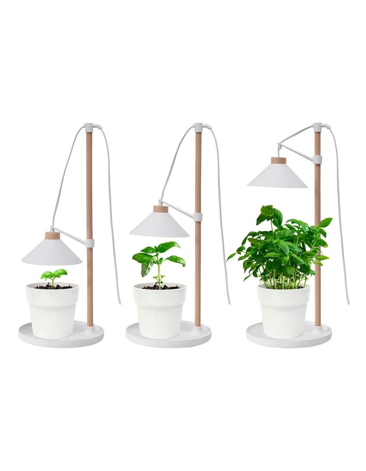 Home Grown Table Grow Lamp | MYER