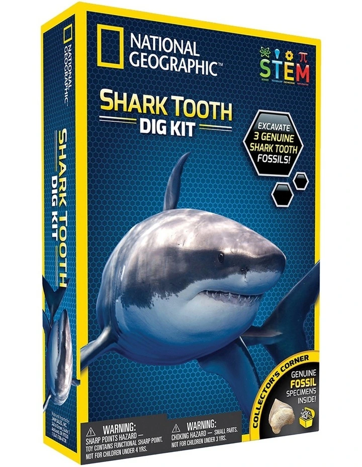Shark Tooth Dig Kit image 1
