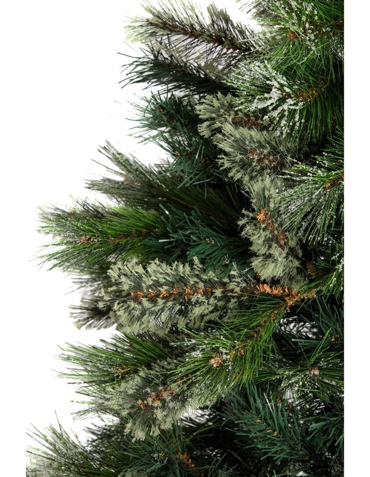 Oregon Pine Oregon Pine