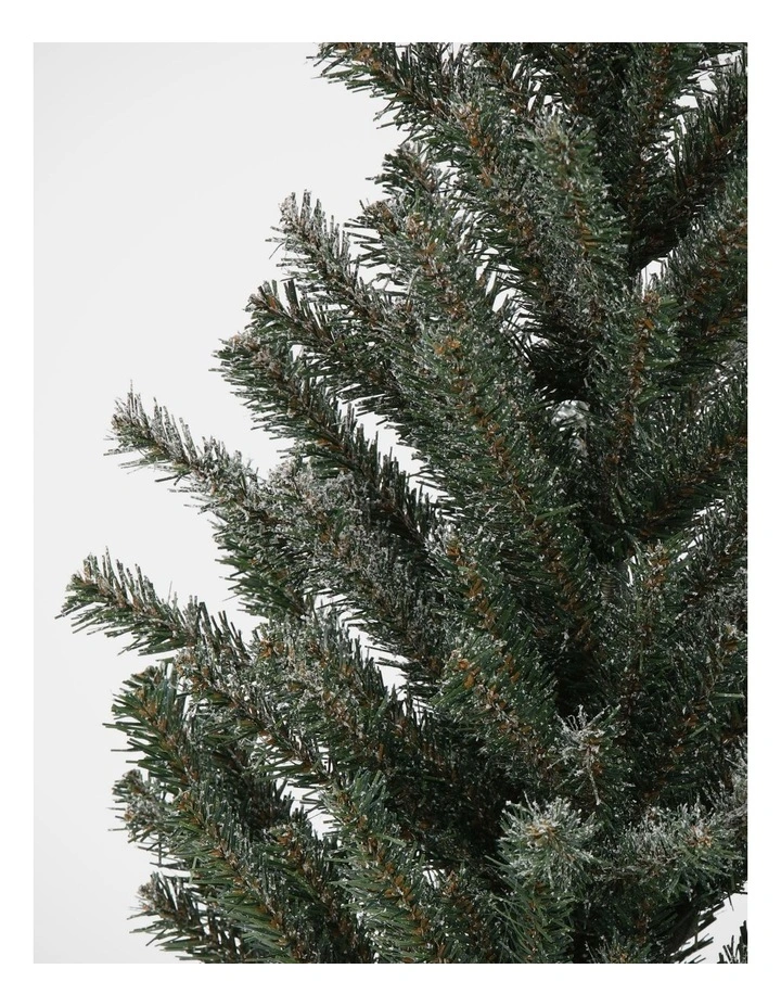 Eucalyptus Christmas Table Top Tree in Hessian Pot image 2