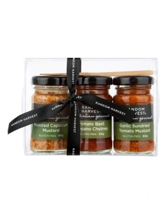BBQ Condiments Mini Me Pack 3x60g