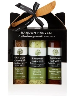 Summer BBQ Condiments Carry Case 450g