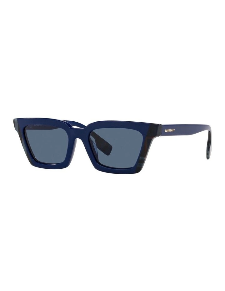 Briar Blue Sunglasses image 1