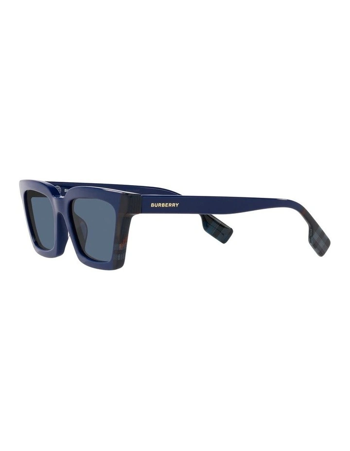 Briar Blue Sunglasses image 3