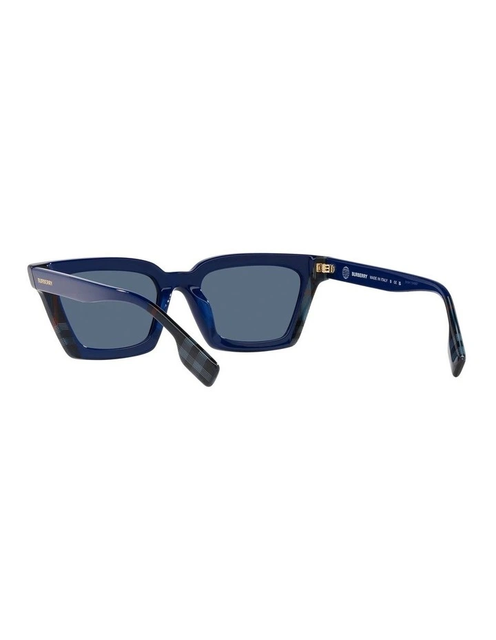 Briar Blue Sunglasses image 6