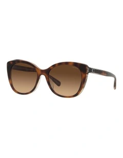 CH566 Sunglasses in Tortoise