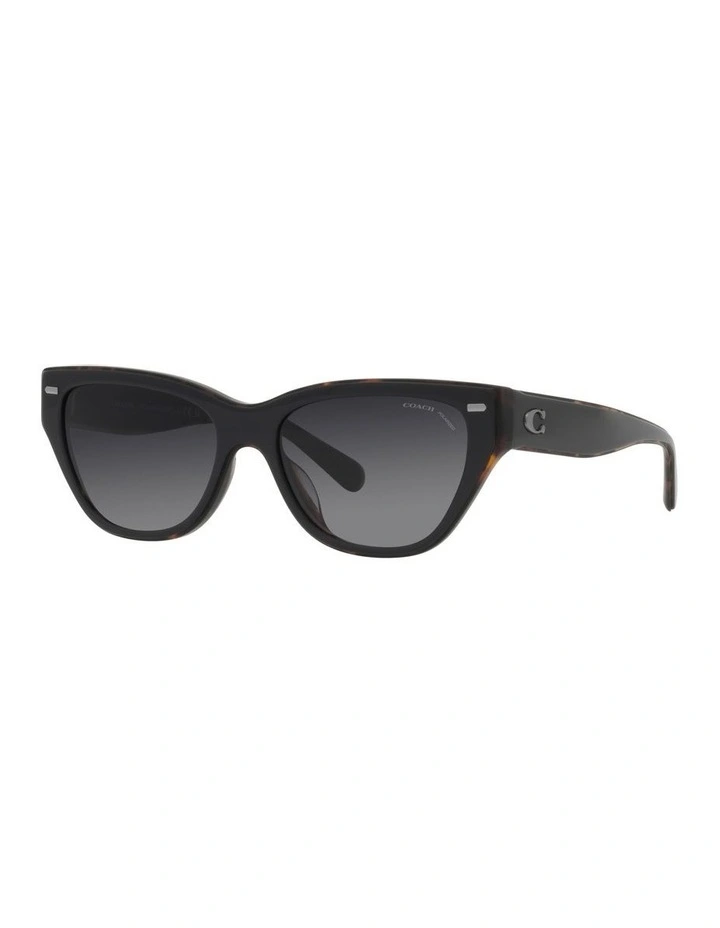 CH570 Polarized Sunglasses in Black image 1