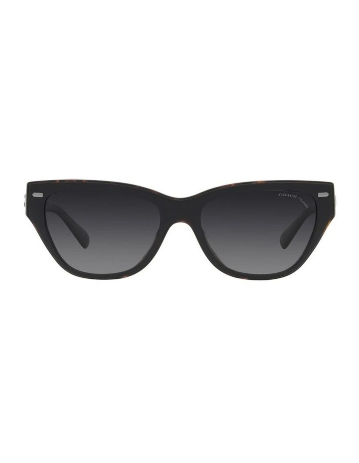 CH570 Polarized Sunglasses in Black image 2