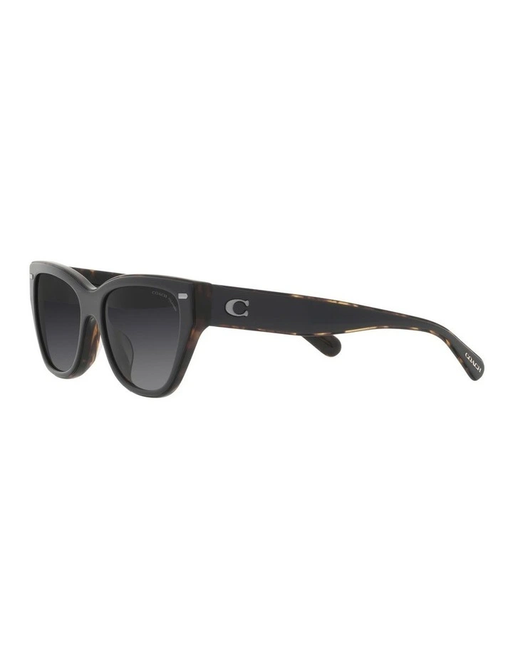 CH570 Polarized Sunglasses in Black image 3