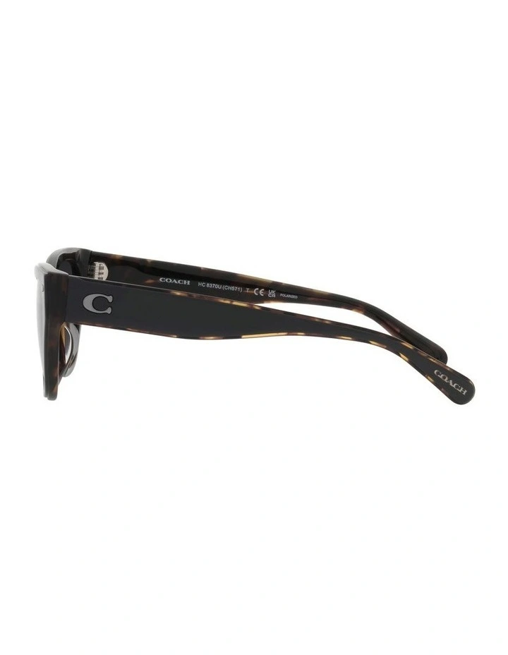 CH570 Polarized Sunglasses in Black image 4