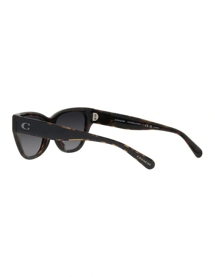 CH570 Polarized Sunglasses in Black image 5