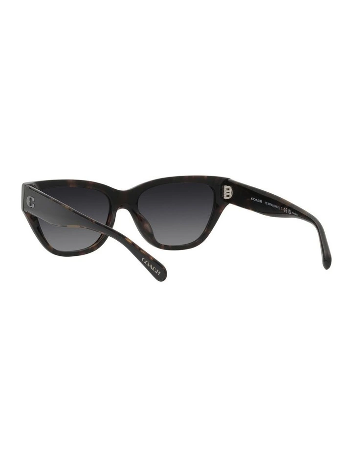 CH570 Polarized Sunglasses in Black image 6