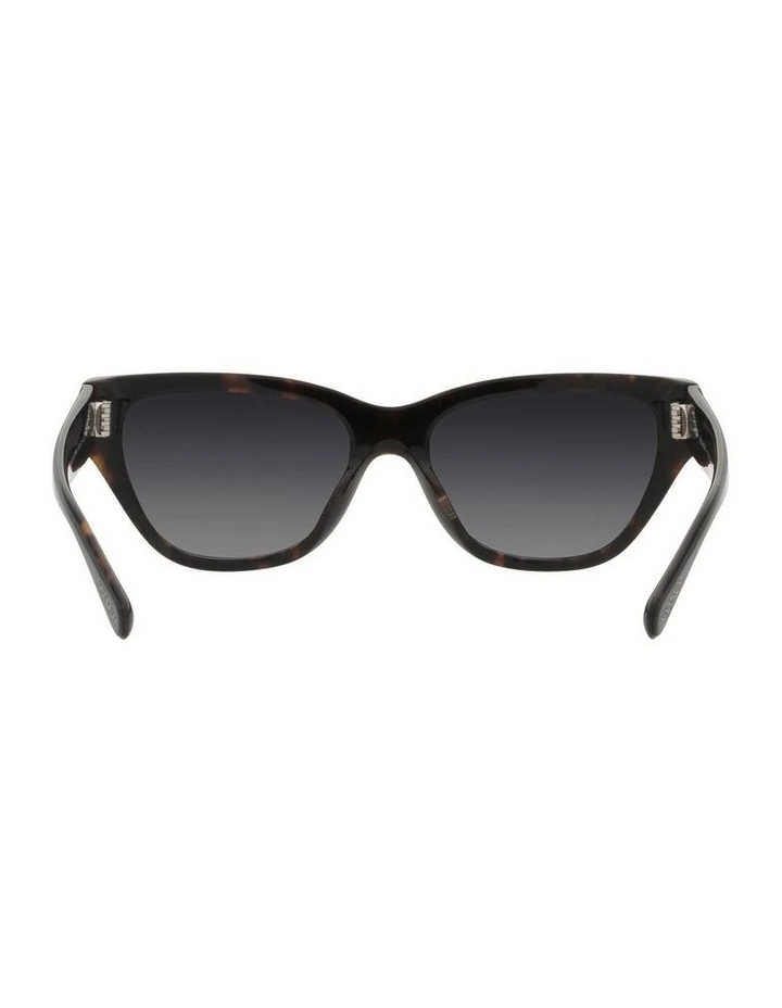 CH570 Polarized Sunglasses in Black image 7