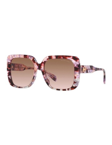 Pink Tortoise colour